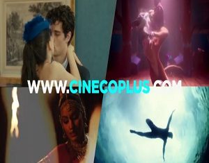 UN UNIVERSO DE PELÍCULAS A UN CLIC EN CINECO/PLUS