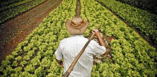 Gobierno lanza línea de crédito ‘El Campo Avanza’ por $500 mil millones para pequeños productores rurales