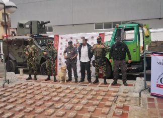 Ejército Nacional y Fiscalía incautan más de 300 kilogramos de clorhidrato de cocaína en el Cauca