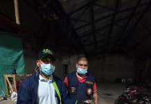 En zona rural del municipio de El Tambo se encontró una serpiente Boa