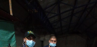 En zona rural del municipio de El Tambo se encontró una serpiente Boa