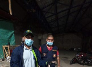 En zona rural del municipio de El Tambo se encontró una serpiente Boa