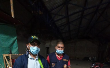 En zona rural del municipio de El Tambo se encontró una serpiente Boa