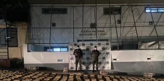 Un cargamento de marihuana fue incautado en zona rural de El Tambo (Cauca).